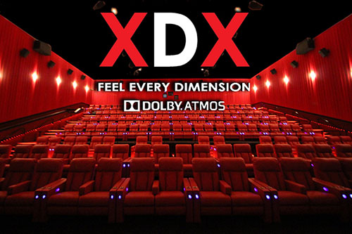 XDX - Xtreme Digital Xperience